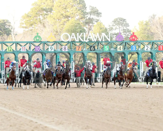 Timberlake - Rebel Stakes G2 64Th Running 02-24-24 R11 Op Start 03 Oaklawn Park
