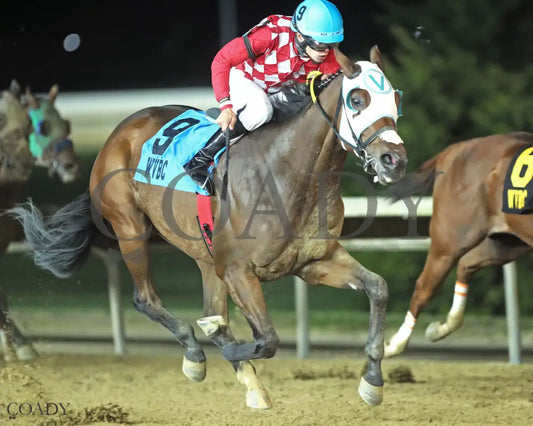 TIME TO ROCK - West Virginia Dash For Cash Breeders Classic - 10-11-25 - R03 - CT - Finish 02 Hollywood Casino at