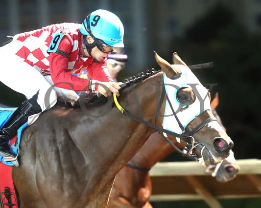 TIME TO ROCK - West Virginia Dash For Cash Breeders Classic - 10-11-25 - R03 - CT - Finish 03 Hollywood Casino at
