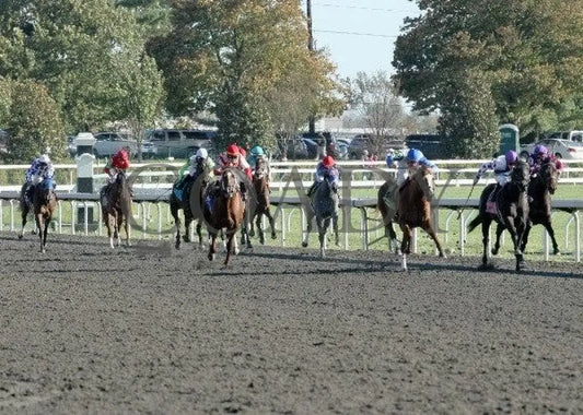 Timely Tally - 2 101511 Race 07 Keeneland