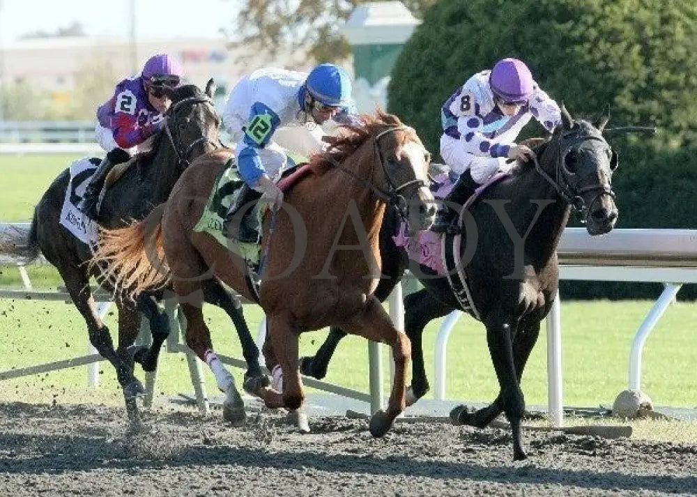 Timely Tally - 3 101511 Race 07 Keeneland