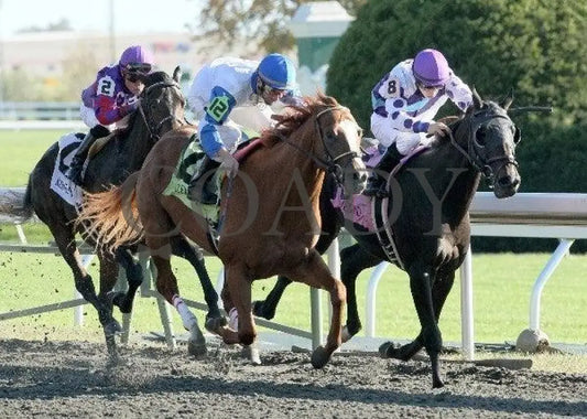 Timely Tally - 3 101511 Race 07 Keeneland