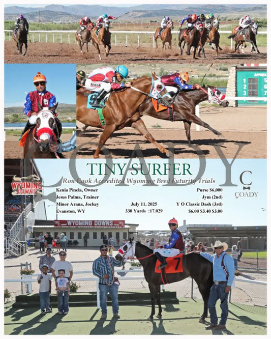 TINY SURFER - Ron Cook Accredited Wyoming Bred Futurity Trials - 07-11-25 - R08 - WYO Wyoming Downs