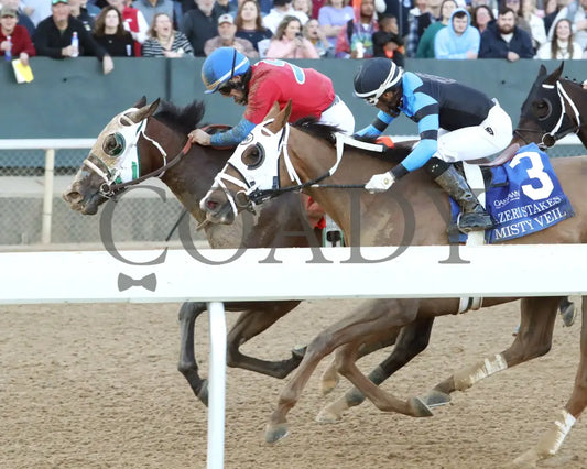 Tiny Temper - The Azeri Stakes G2 37Th Running 03 - 09 - 24 R09 Op Inside Finish 01 Oaklawn Park