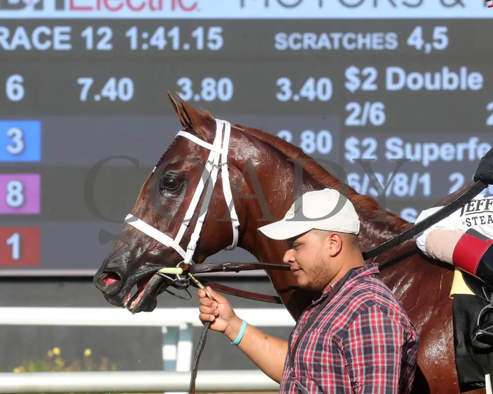 TIP TOP THOMAS - Indiana Derby - G3 - 07-05-25 - R12 - IND - Come Back 02 Indiana Grand