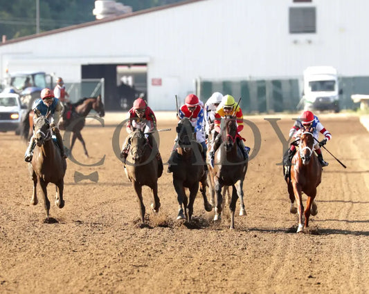 TIP TOP THOMAS - Indiana Derby - G3 - 07-05-25 - R12 - IND - Head On 01 Indiana Grand