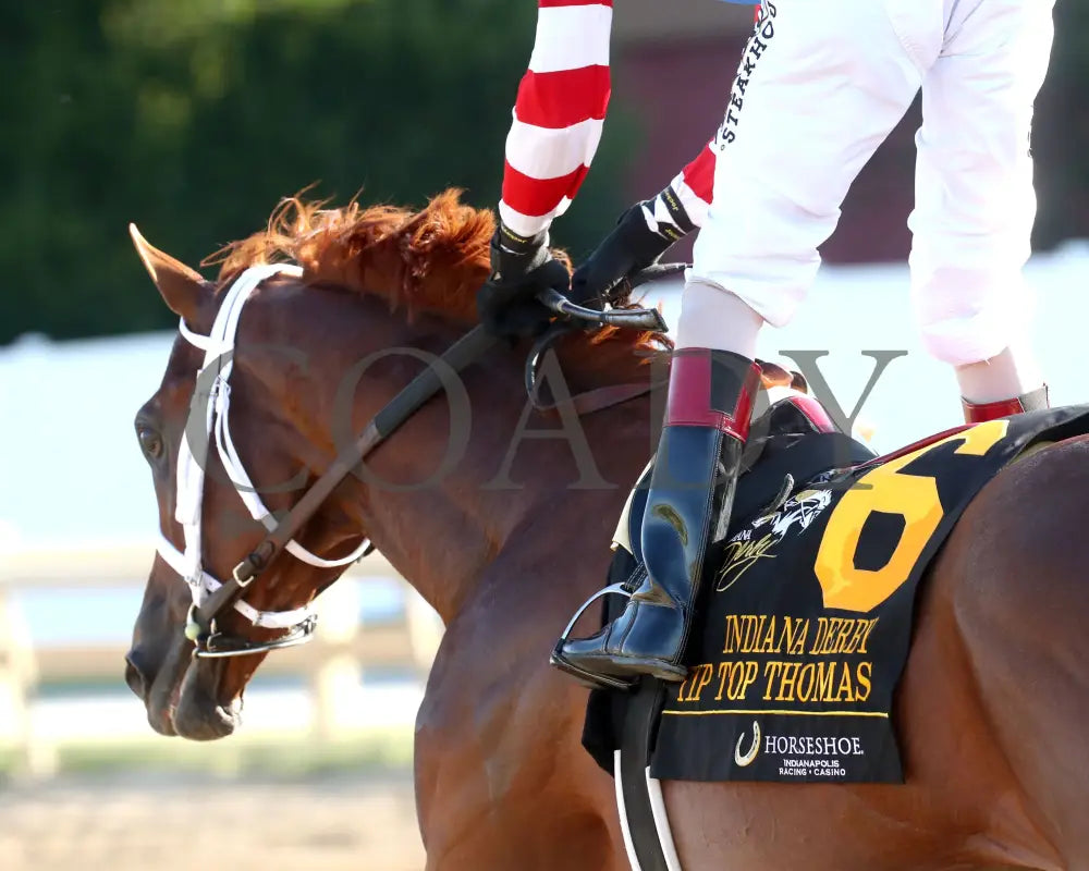 TIP TOP THOMAS - Indiana Derby - G3 - 07-05-25 - R12 - IND - Inside Finish 02 Indiana Grand