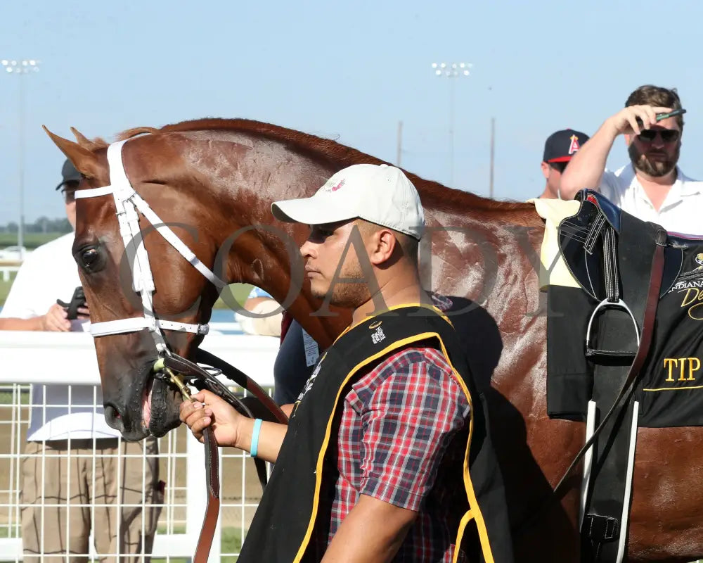 TIP TOP THOMAS - Indiana Derby - G3 - 07-05-25 - R12 - IND - Paddock 01 - Coady Media - Kurtis Coady Photography