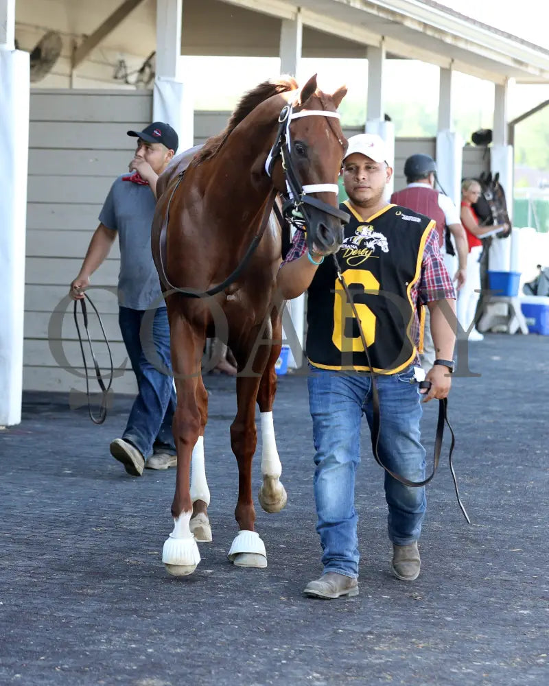 TIP TOP THOMAS - Indiana Derby - G3 - 07-05-25 - R12 - IND - Paddock 04 Indiana Grand