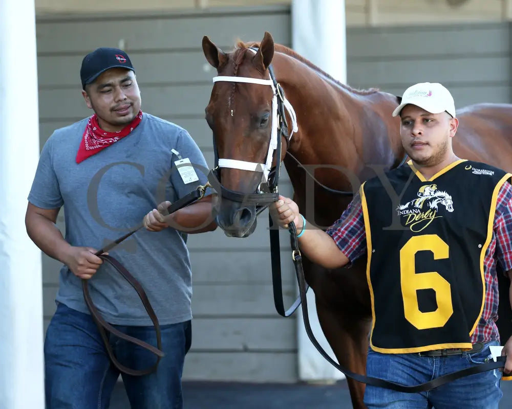 TIP TOP THOMAS - Indiana Derby - G3 - 07-05-25 - R12 - IND - Paddock 06 Indiana Grand