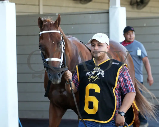 TIP TOP THOMAS - Indiana Derby - G3 - 07-05-25 - R12 - IND - Paddock 05 Indiana Grand