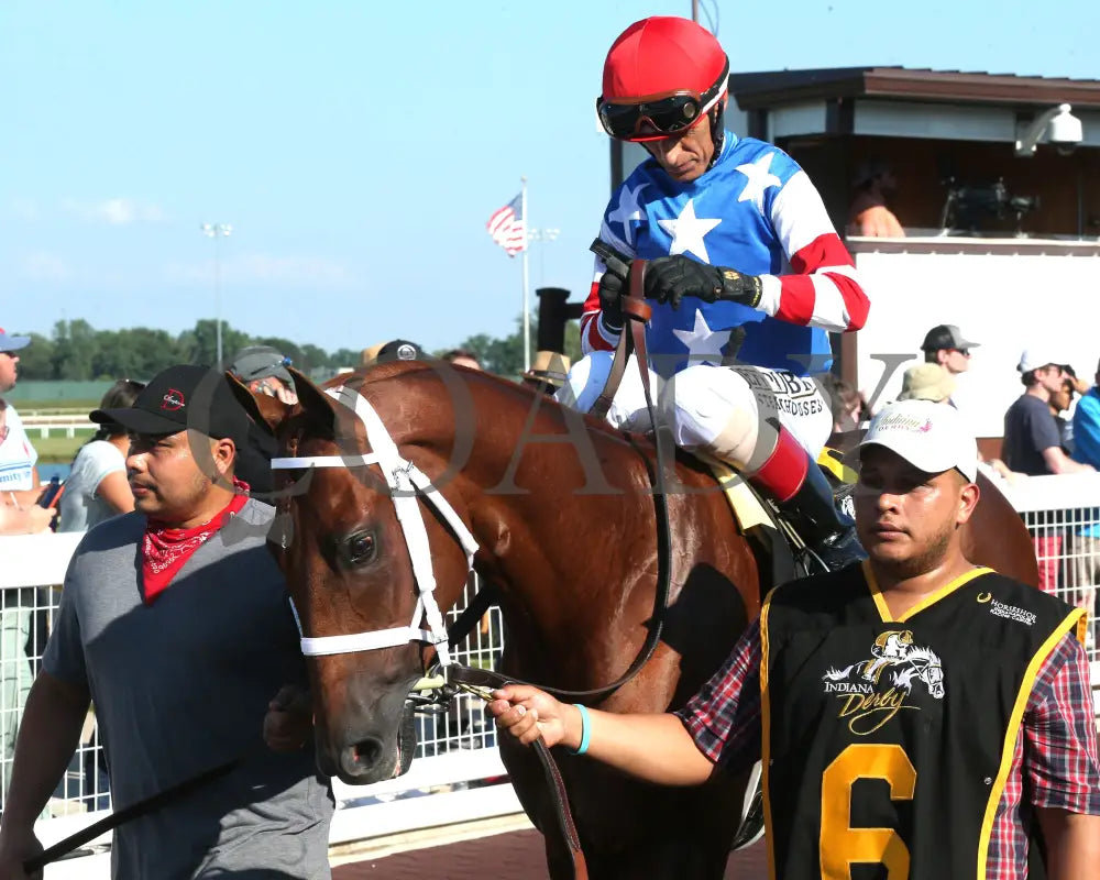 TIP TOP THOMAS - Indiana Derby - G3 - 07-05-25 - R12 - IND - Paddock 07 Indiana Grand