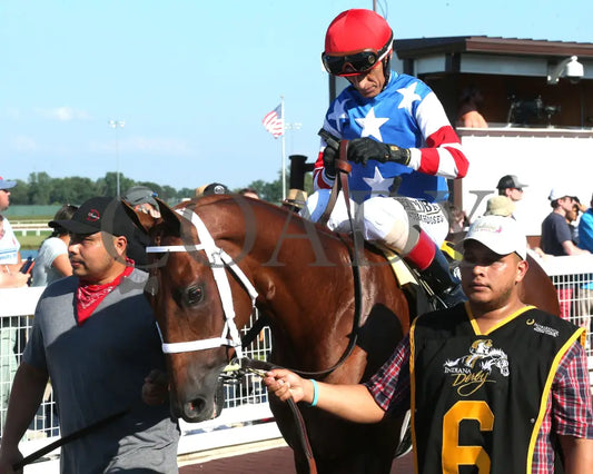 TIP TOP THOMAS - Indiana Derby - G3 - 07-05-25 - R12 - IND - Paddock 07 Indiana Grand