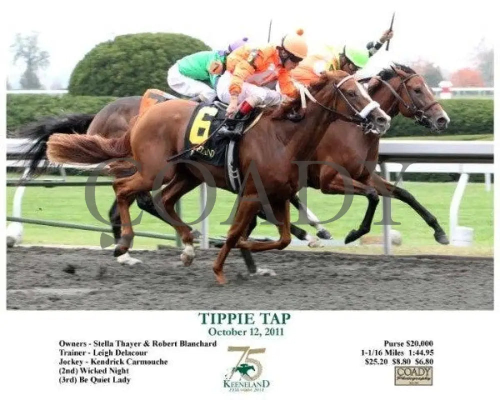 Tippie Tap - 101211 Keeneland