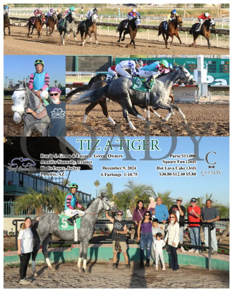Tiz A Tiger - 12-09-24 R08 Tup Turf Paradise