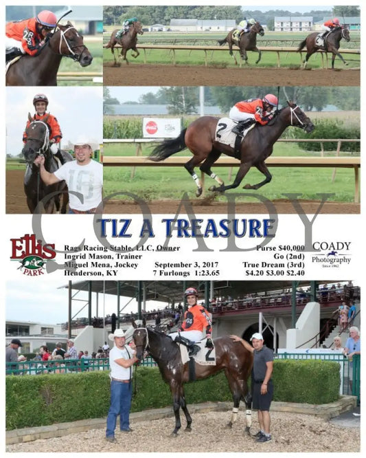 Tiz A Treasure - 090317 Race 08 Elp Ellis Park