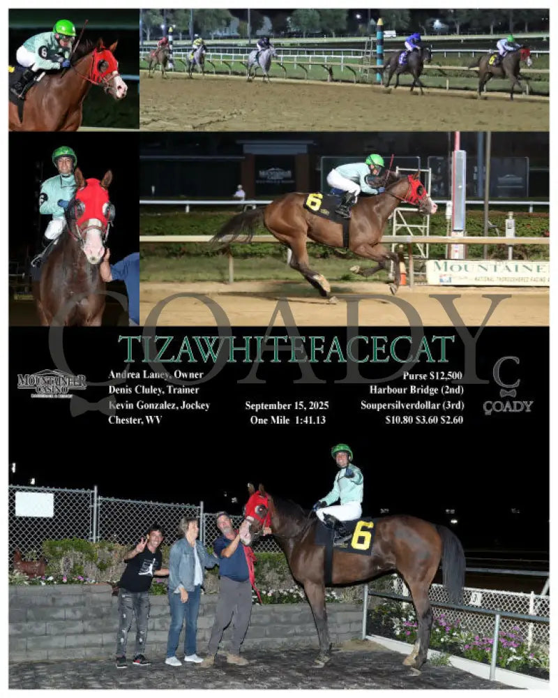 TIZAWHITEFACECAT - 09-15-25 - R05 - MNR - Coady Media - Kurtis Coady Photography