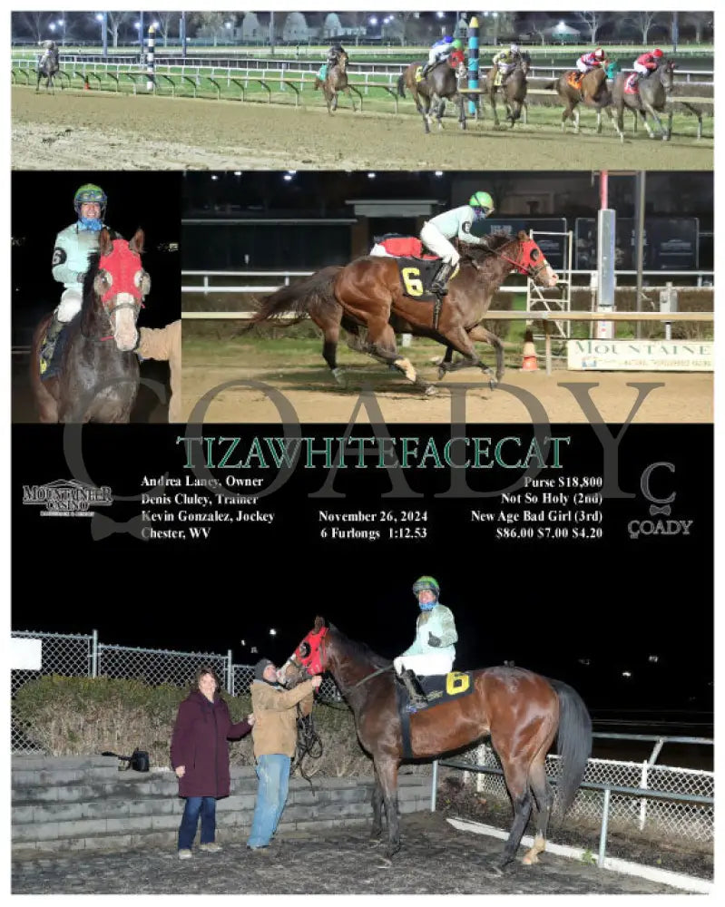 Tizawhitefacecat - 11-26-24 R07 Mnr Mountaineer Park