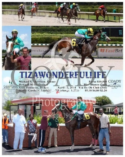 Tizawonderfullife - 041214 Race 01 Crc Calder Course