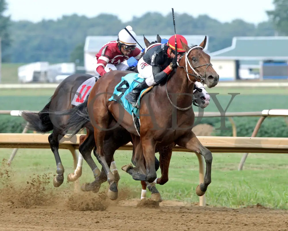 Tobacco Road - 081918 Race 09 Elp Finish 02 Ellis Park