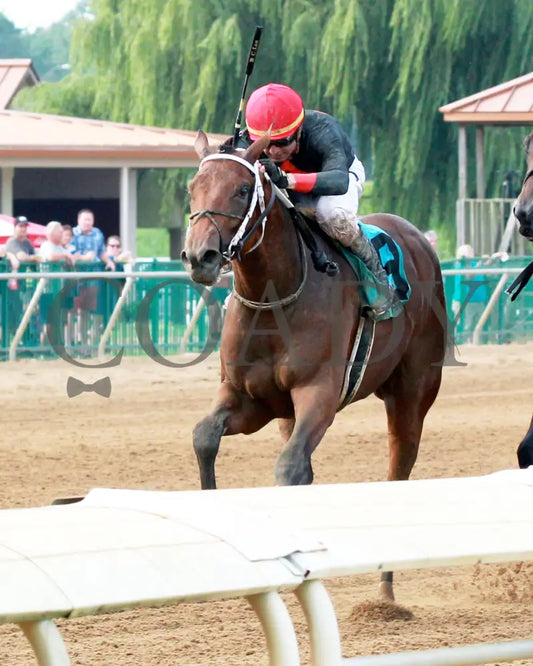 Tobacco Road - 081918 Race 09 Elp Inside Finish 02 Ellis Park