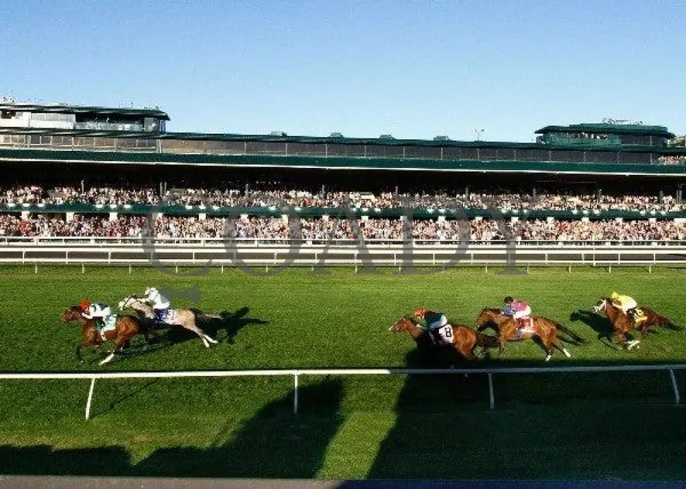 Together - Crowd 101511 Race 09 Keeneland