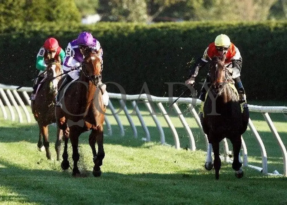 Together - Head On 101511 Race 09 Keeneland