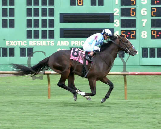 TOMASELLO - KY Downs Preview Nashville Derby - 08-02-25 - R08 - ELP - Finish 01 Ellis Park