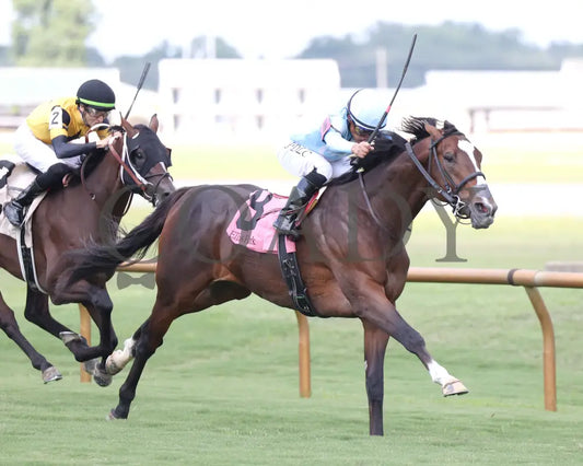 TOMASELLO - KY Downs Preview Nashville Derby - 08-02-25 - R08 - ELP - Finish 02 Ellis Park
