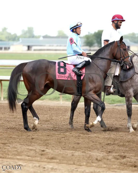 TOMASELLO - KY Downs Preview Nashville Derby - 08-02-25 - R08 - ELP - Post Parade 01 Ellis Park
