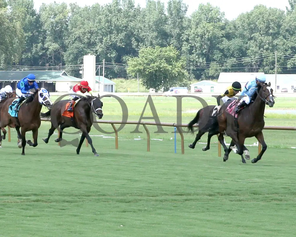 TOMASELLO - KY Downs Preview Nashville Derby - 08-02-25 - R08 - ELP - Up the Track 01 Ellis Park
