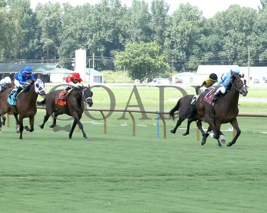 TOMASELLO - KY Downs Preview Nashville Derby - 08-02-25 - R08 - ELP - Up the Track 01 Ellis Park