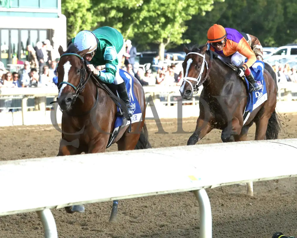 TOMMY JO - The Darley Alcibiades G1 - 10-03-25 - R09 - KEE - Inside Finish 02 - Coady Media - Kurtis Coady Photography