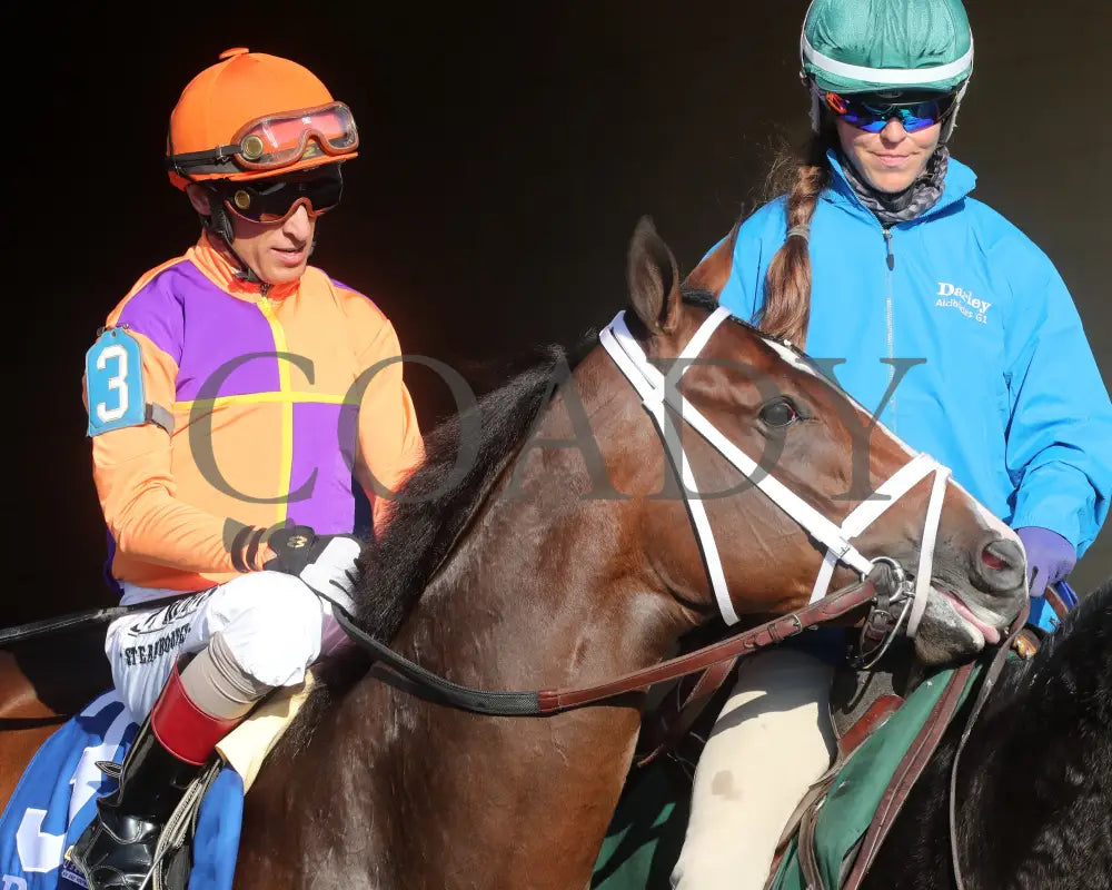 TOMMY JO - The Darley Alcibiades G1 - 10-03-25 - R09 - KEE - Post Parade 01 Keeneland