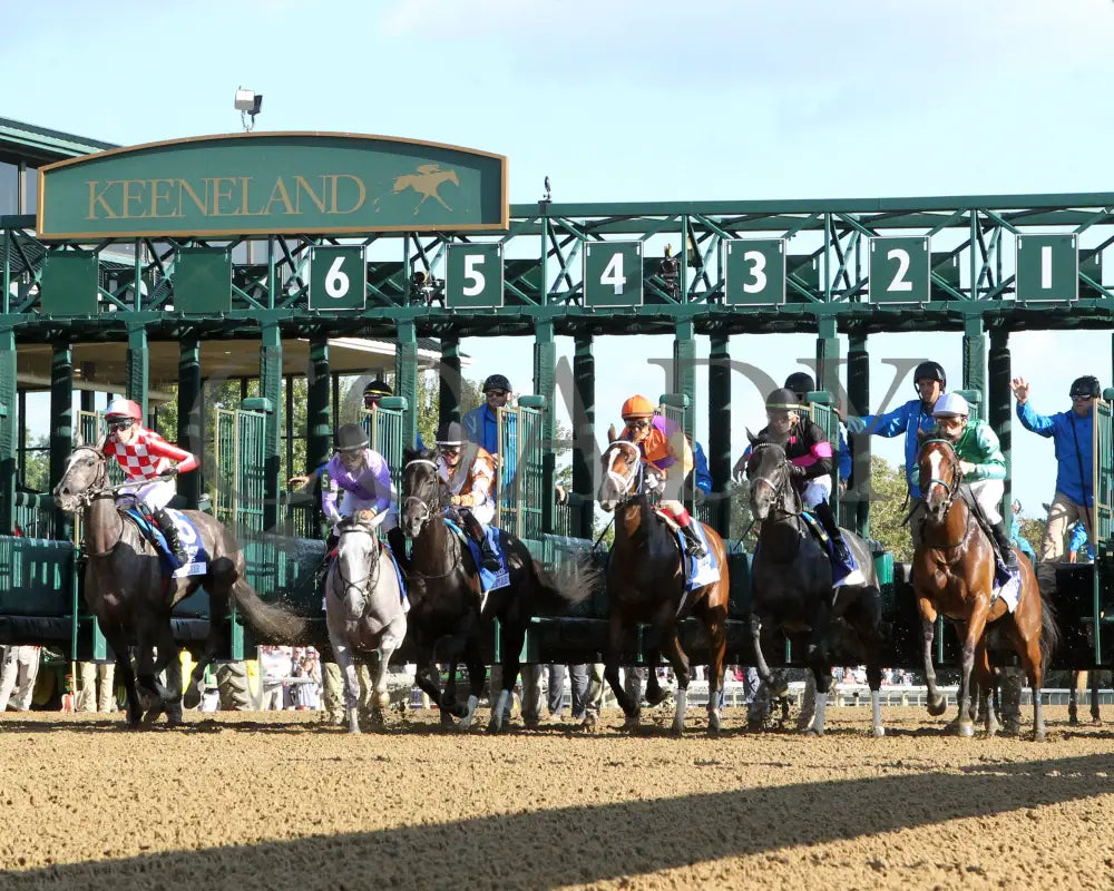 TOMMY JO - The Darley Alcibiades G1 - 10-03-25 - R09 - KEE - Start 01 Keeneland