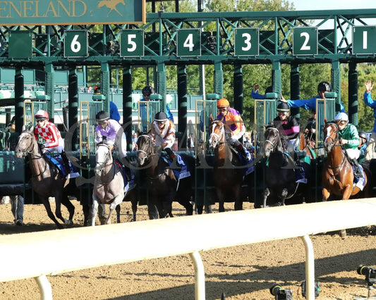 TOMMY JO - The Darley Alcibiades G1 - 10-03-25 - R09 - KEE - Start 02 Keeneland
