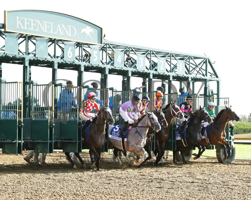TOMMY JO - The Darley Alcibiades G1 - 10-03-25 - R09 - KEE - Start 04 Keeneland