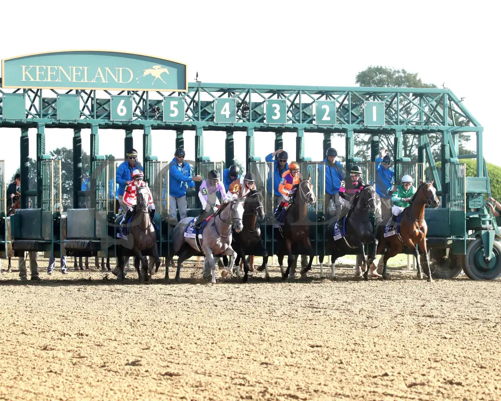 TOMMY JO - The Darley Alcibiades G1 - 10-03-25 - R09 - KEE - Start 05 Keeneland