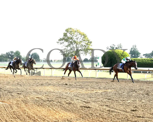 TOMMY JO - The Darley Alcibiades G1 - 10-03-25 - R09 - KEE - Up the Track 01 Keeneland