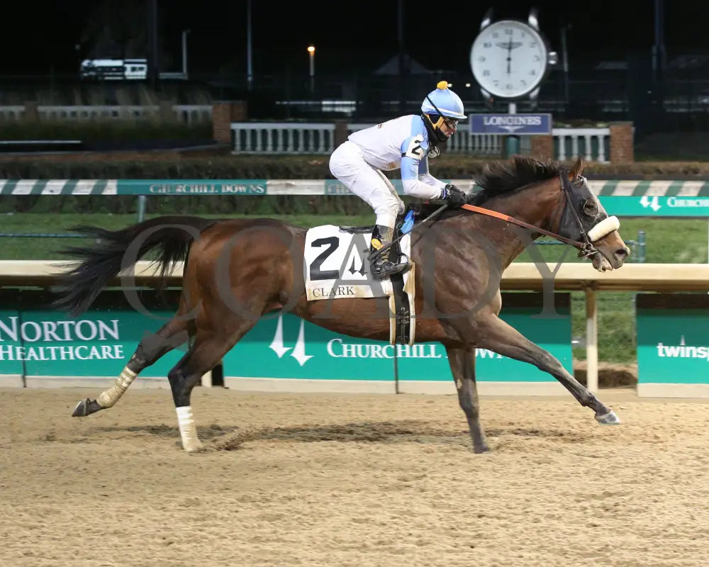 Tom’s D’etat - Clark G1 145Th Running 11-29-19 R11 Cd Finish 01 Churchill Downs