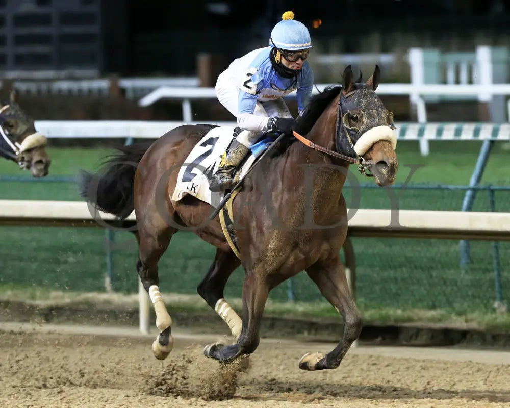 Tom’s D’etat - Clark G1 145Th Running 11-29-19 R11 Cd Finish 02 Churchill Downs