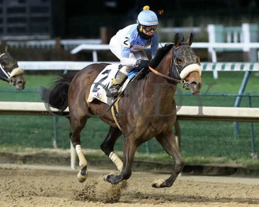 Tom’s D’etat - Clark G1 145Th Running 11-29-19 R11 Cd Finish 02 Churchill Downs