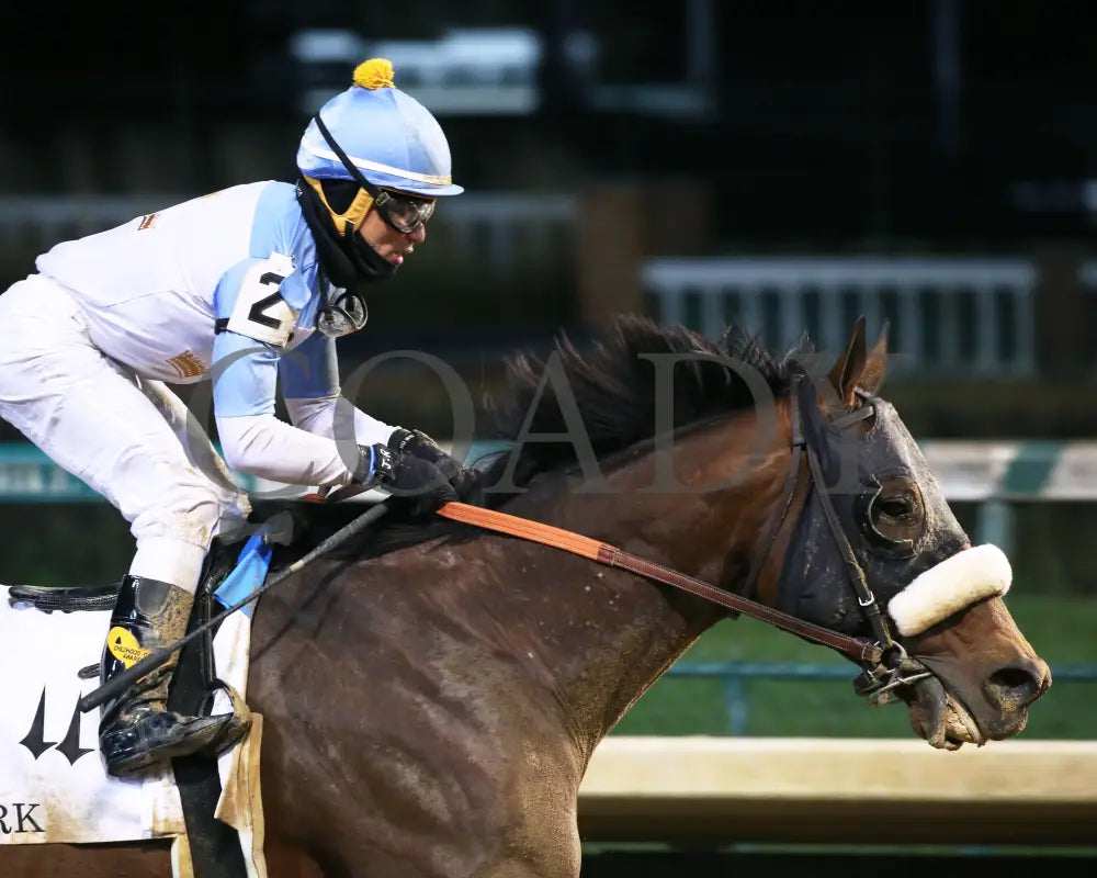 Tom’s D’etat - Clark G1 145Th Running 11-29-19 R11 Cd Finish 03 Churchill Downs