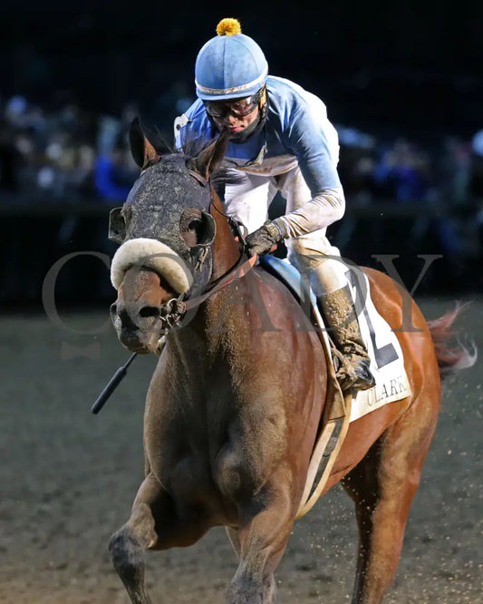 Tom’s D’etat - Clark G1 145Th Running 11-29-19 R11 Cd Inside Finish 01 Churchill Downs