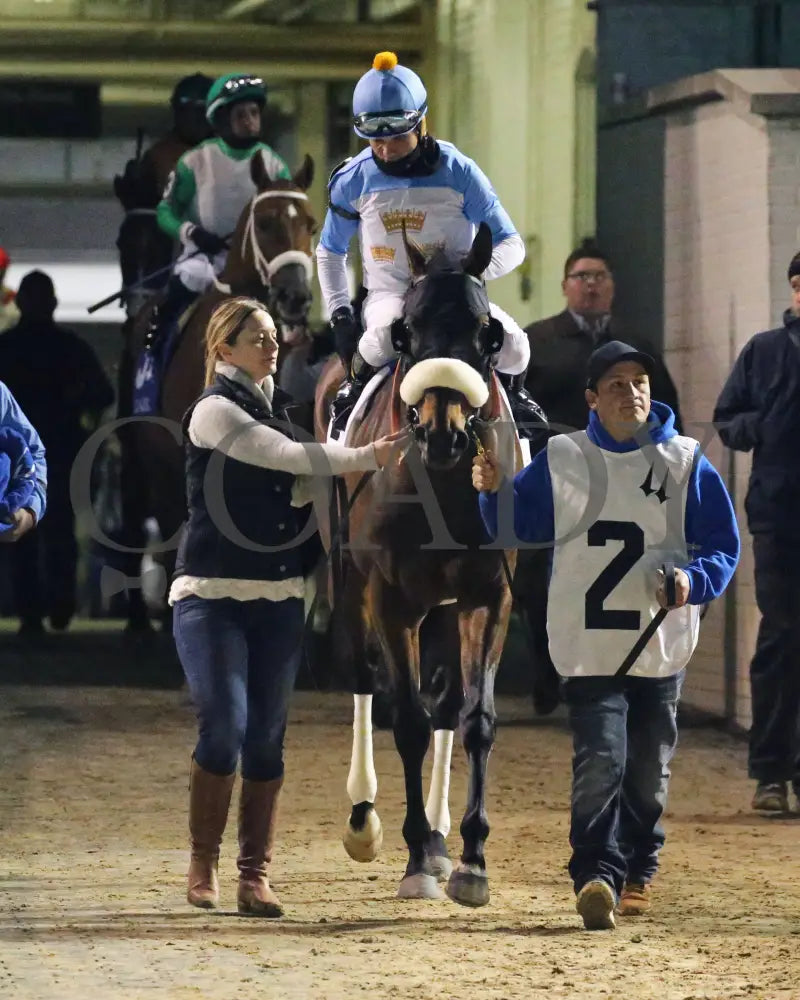 Tom’s D’etat - Clark G1 145Th Running 11-29-19 R11 Cd Post Parade 01 Churchill Downs