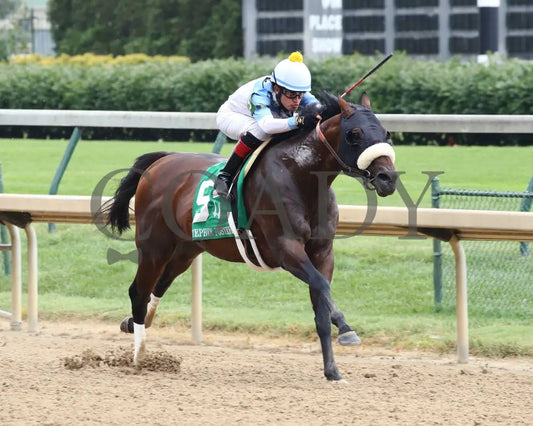 Tom’s D’etat - The Stephen Foster G2 39Th Running 06-27-20 R10 Cd Finish 05 Churchill Downs