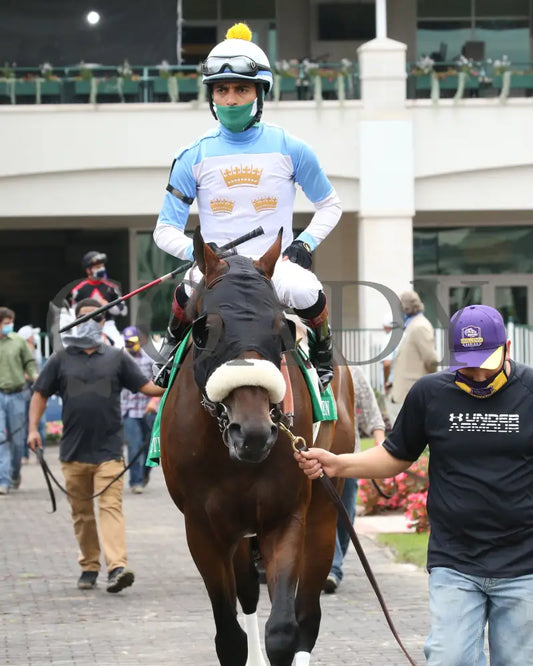 Tom’s D’etat - The Stephen Foster G2 39Th Running 06-27-20 R10 Cd Paddock 01 Churchill Downs
