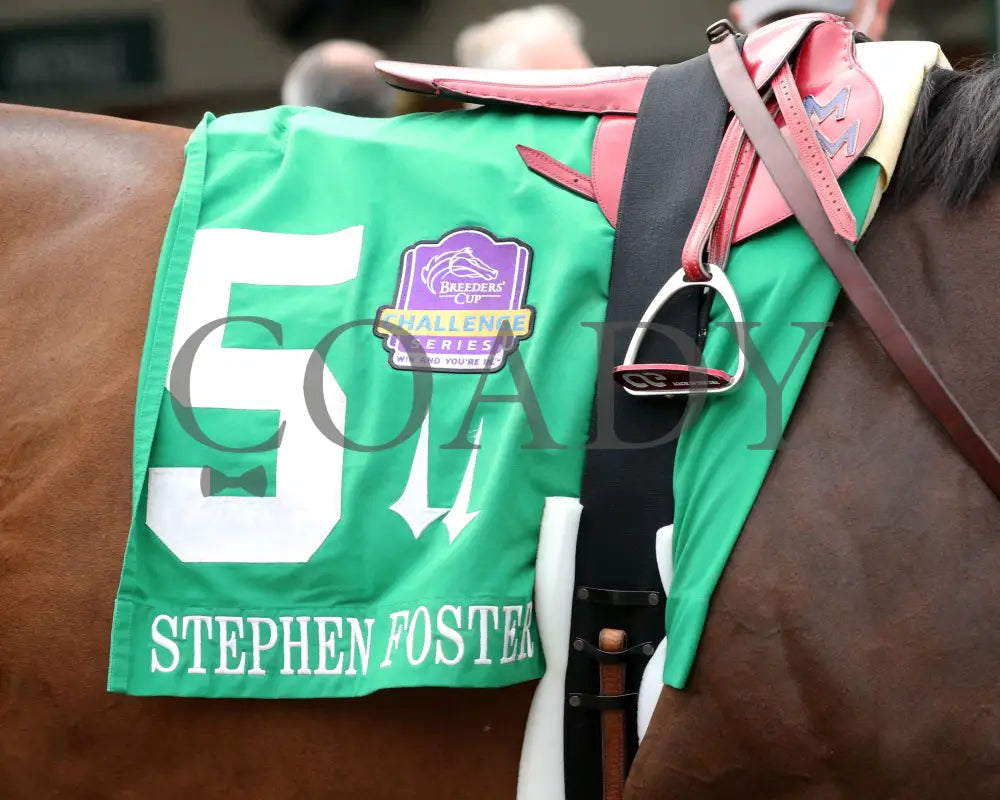 Tom’s D’etat - The Stephen Foster G2 39Th Running 06-27-20 R10 Cd Paddock 03 Churchill Downs