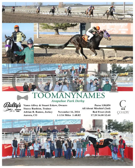 Toomanynames - Arapahoe Park Derby 11-16-24 R07 Arp