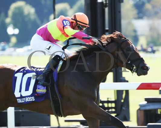 Totally Boss - Runhappy Turf Sprint G3 21St Running 09-07-19 R07 Kd Finish 02 Kentucky Downs